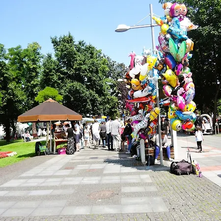 In Near Baltic Sea *